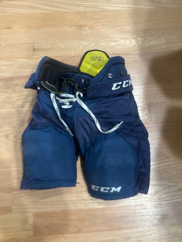 Used Large CCM  AS1 Hockey Pants