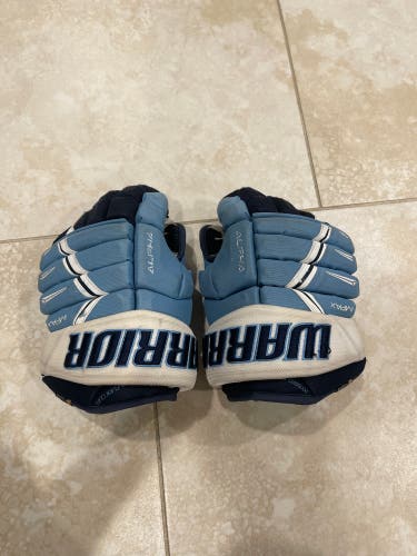 Warrior 13"  Alpha Pro Gloves