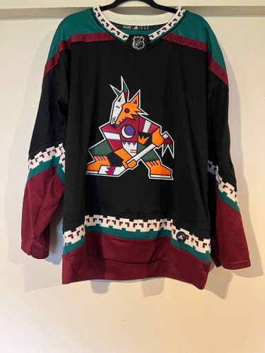 Kuemper Arizona Coyotes Alternate