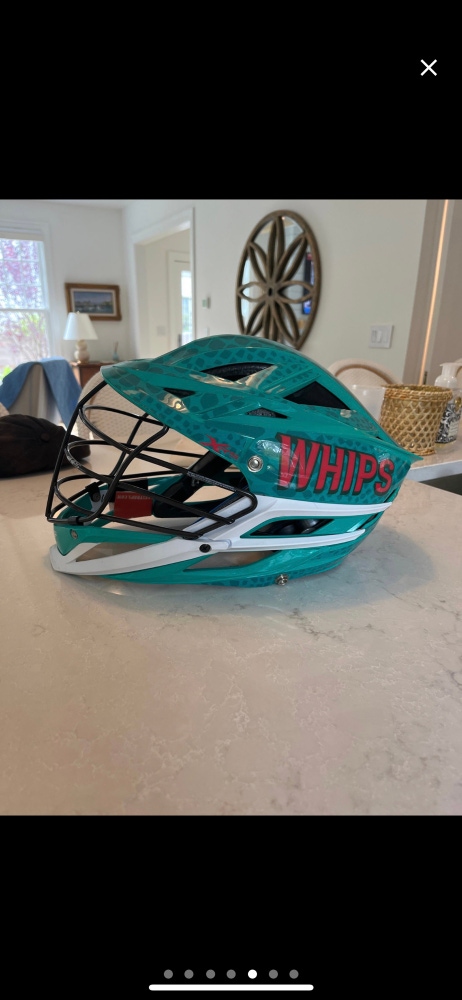 PLL Whipsnakes Helmet