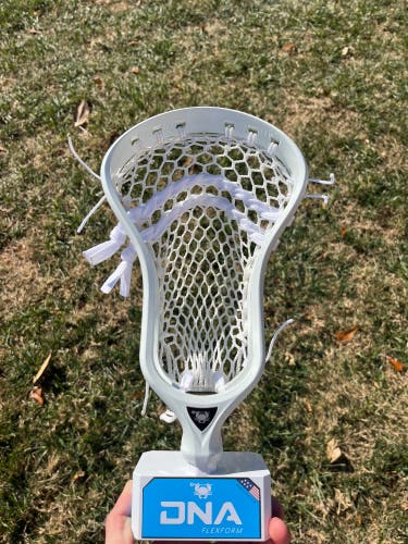 New Strung DNA Head