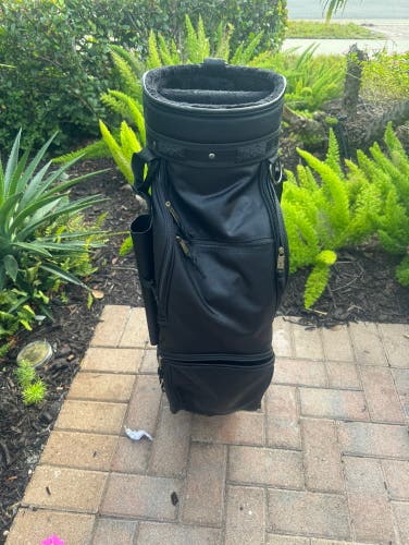 Golf Cart Bag By Pro Select with club dividers and shoulder strap  Used
