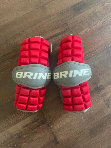 Used Large Brine Arm Pads