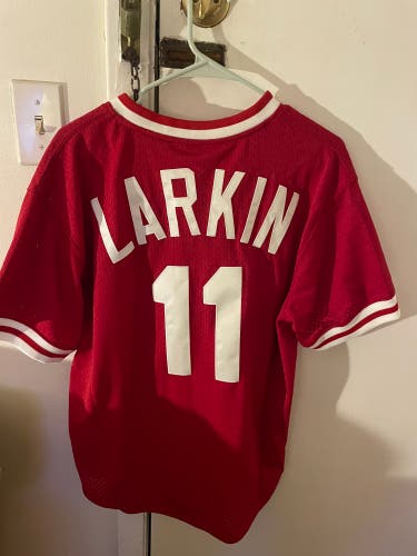 Barry Larkin Cincinnati Reds Mitchell & Ness MLB Mesh Jersey L