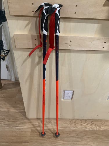 Swix Straight Ski poles 110mm