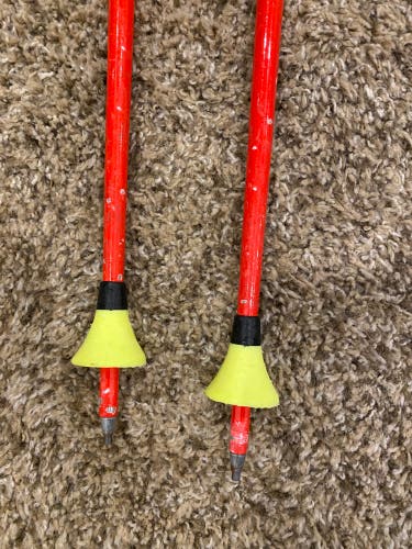Used Leki 110 (44”) GS ski poles