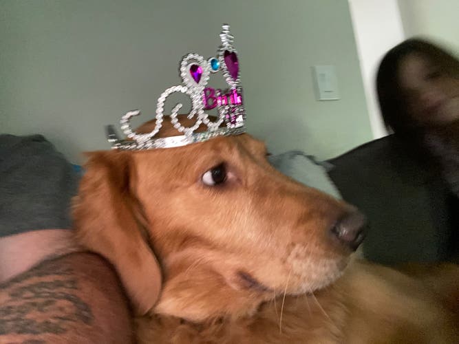 BN true Radar goalie heads For Laxn16