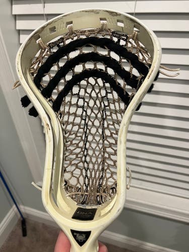 Dingy DNA Used Strung DNA Head