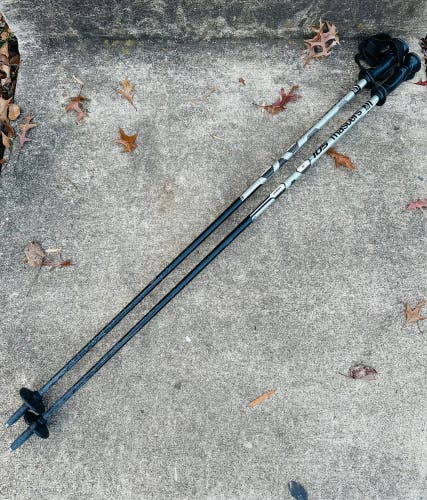 Masters Carbon Ski Poles