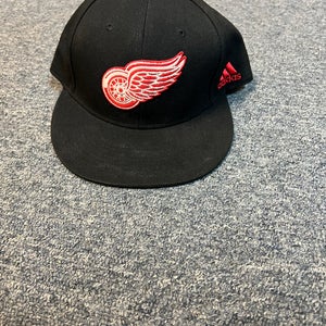 Team Issued Detroit Red Wings Hat #17