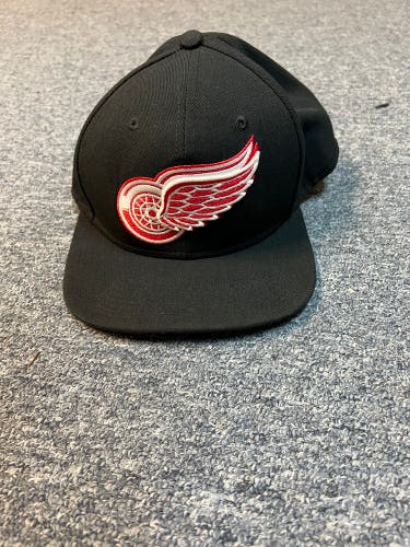 Team Issued Detroit Red Wings Hat #29
