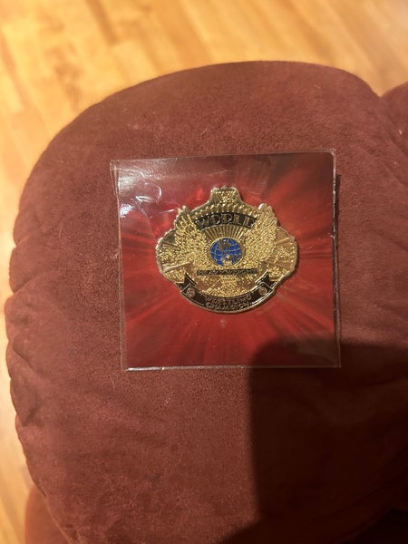 Wwe title belt pins