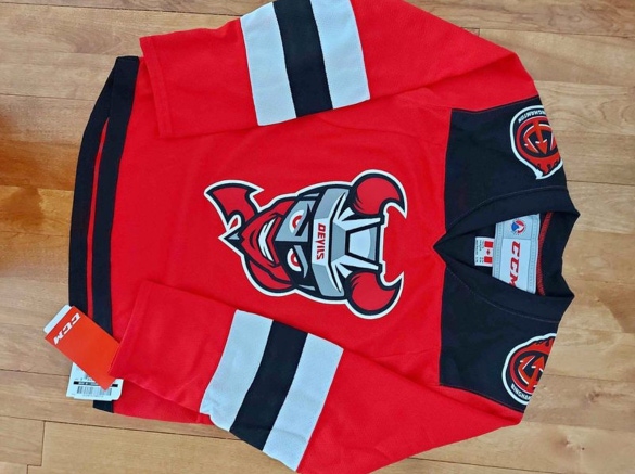 CCM AHL Devils