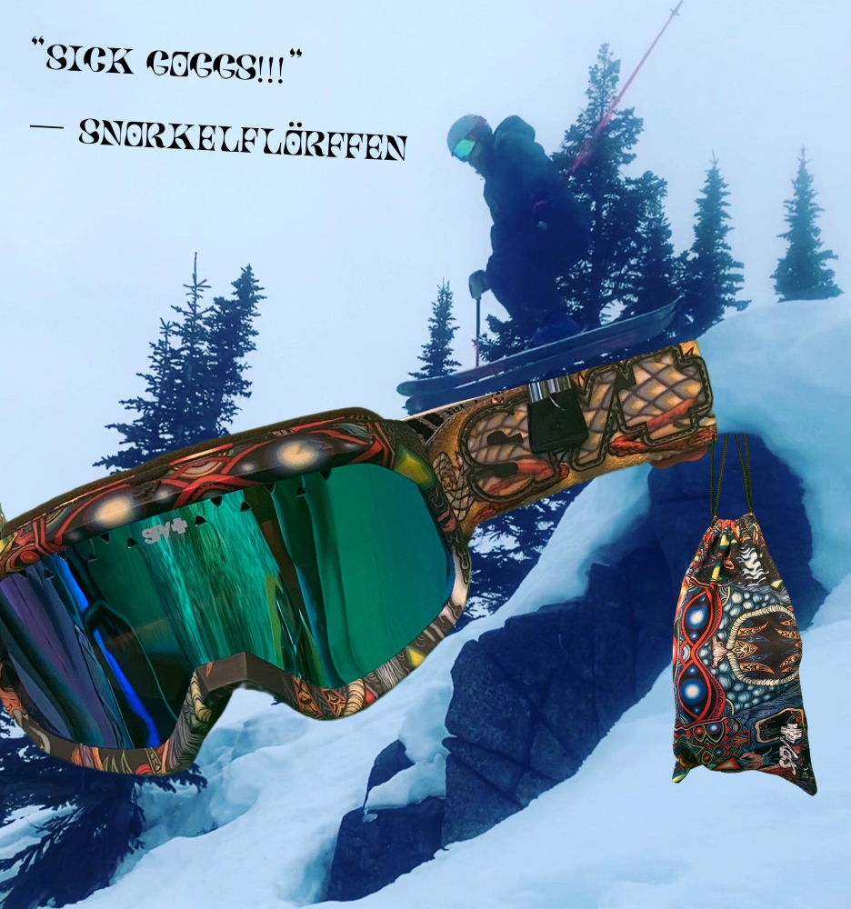 Used Spy Snowboard Goggles
