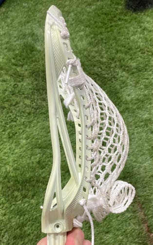 FOGO Strung CEO 3 Head