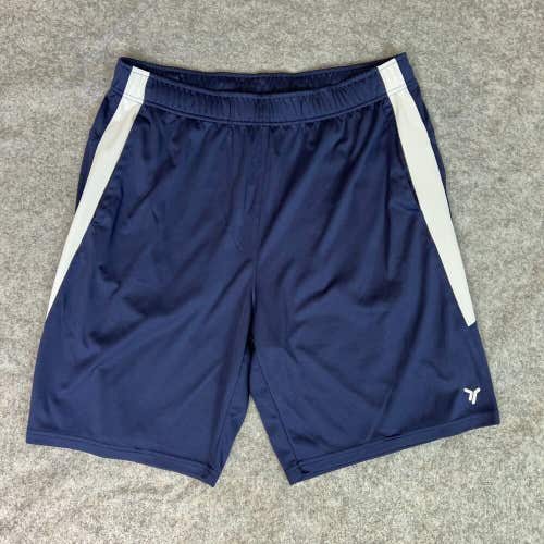 Old Navy Mens Shorts Large Navy White Gym Active Drawstring Casual Performance
