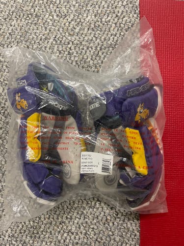 Albany Team Issued Rome RX3 Goalie Gloves