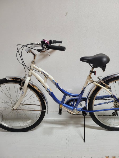 Used Schwinn Landmark Cruiser 17 18