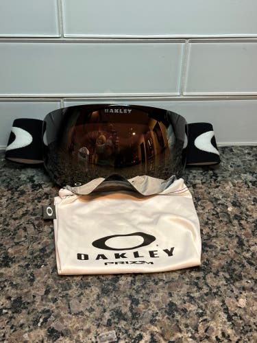 Oakley Flight Deck L Snow Goggle