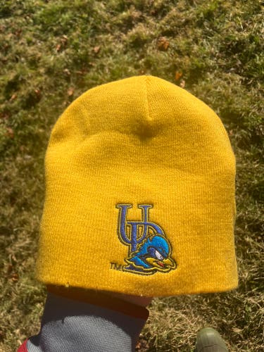 University of Delaware Blue Hens skullcap