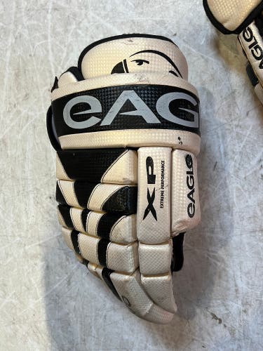 Eagle Carbon Fibre Gloves 14”