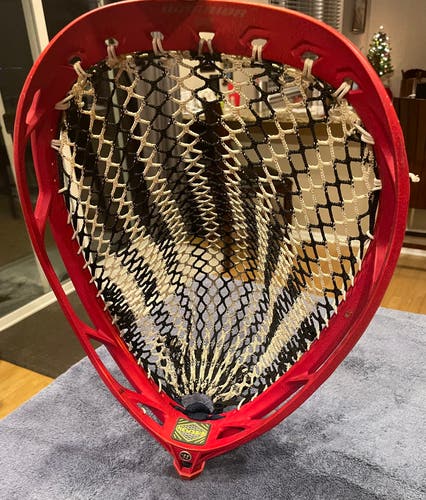 Used Goalie Strung Nemesis QS Head