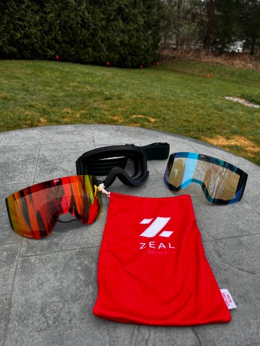 Used Zeal Ski Goggles