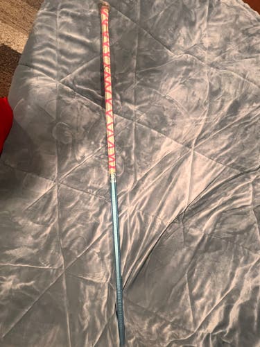Lacrosse stick Long Pole