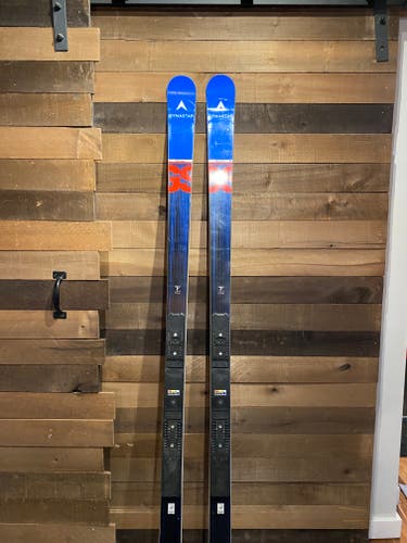 2022 Dynastar 188 cm Racing Speed WC FIS GS Skis Without Bindings (Pair 2)