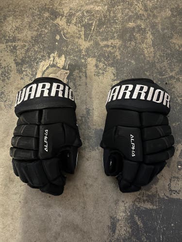 Warrior 13" Alpha DX3 Gloves