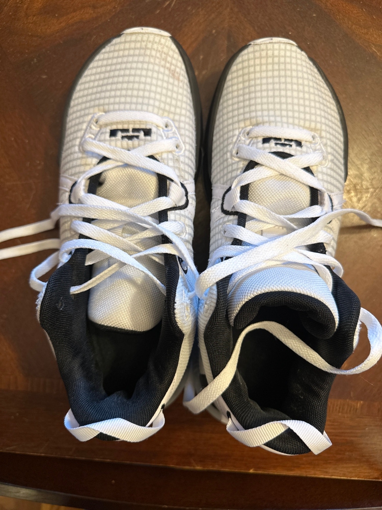 Nike Lebron Witness VII basketball shoes