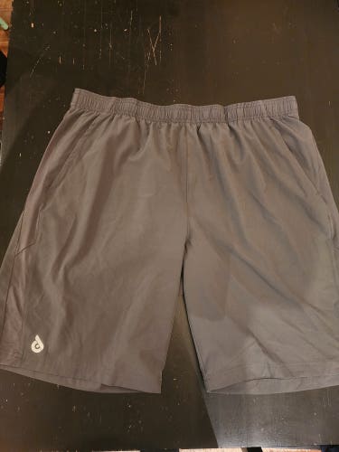 Gray Used XXL Men's Shorts