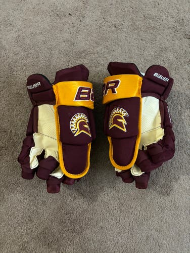 Bauer 14" Vapor Pro Team Gloves