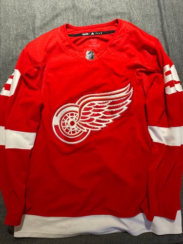 Detroit Red Wings Tyler Bertuzzi Authentic Jersey
