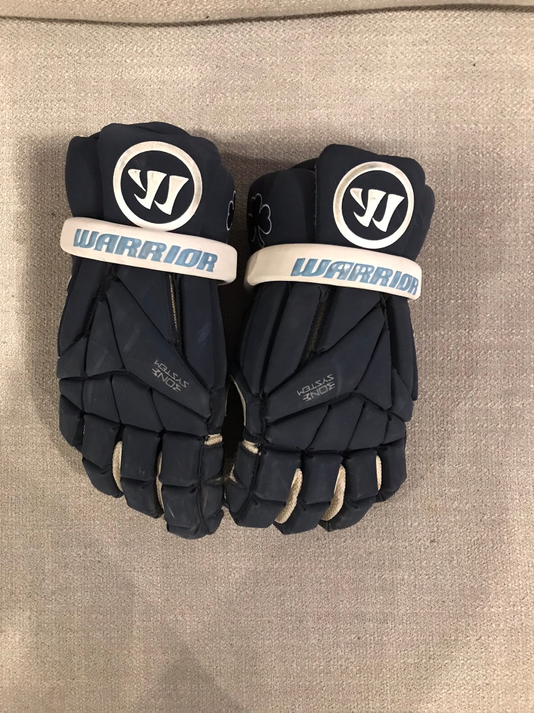 Used Warrior Gloves