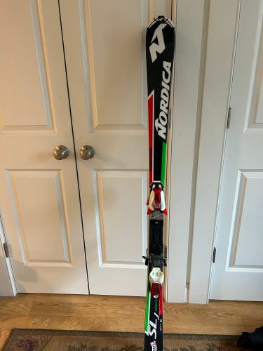 Used 2019 150 cm Dobermann SL WC Skis