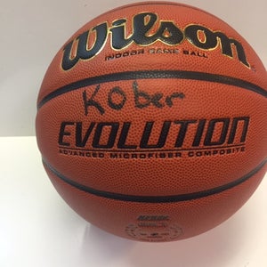 Wilson Evolution Indoor Game Ball Basketball WTB0516