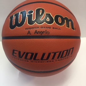Wilson Evolution Indoor Game Ball Basketball WTB0516