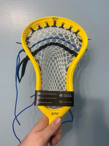New  Strung Stallion 1K Head