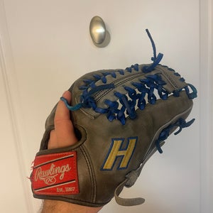Rawlings Hofstra College Issue