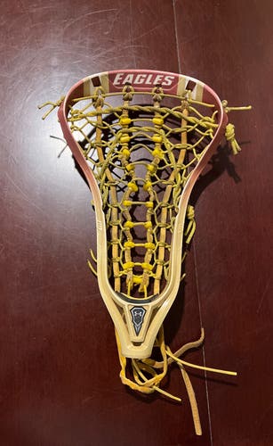 UA Spotlight Boston college dye Woman's head