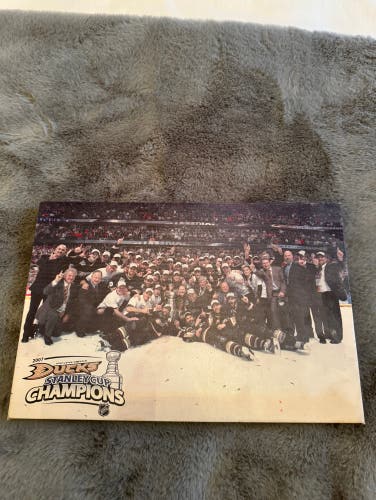 Anaheim Ducks Stanley Cup Championship Photo (on canvas)