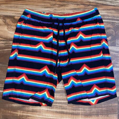 Mossimo Pride Men's Shorts Rainbow Striped Size Small S LGBTQ