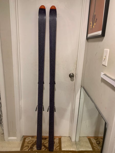salomon evolution skis