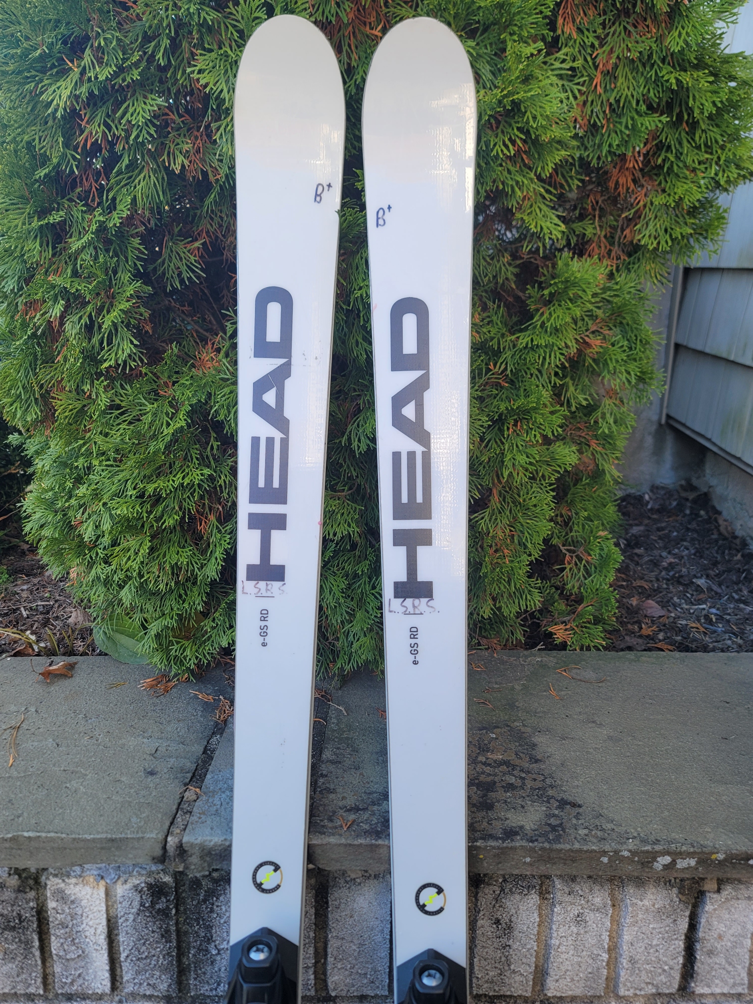 HEAD 188 cm Racing World Cup Rebels i.GS RD Skis With Bindings Max Din 16 and Binding Lifters