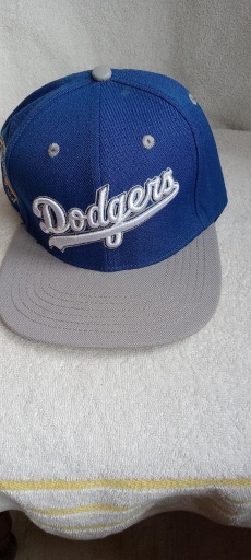 Los Angeles Dodgers Pro standard MLB SnapBack Hat