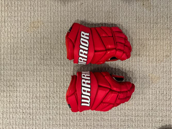 Gently Used Warrior Alpha DX Pro Gloves 14"