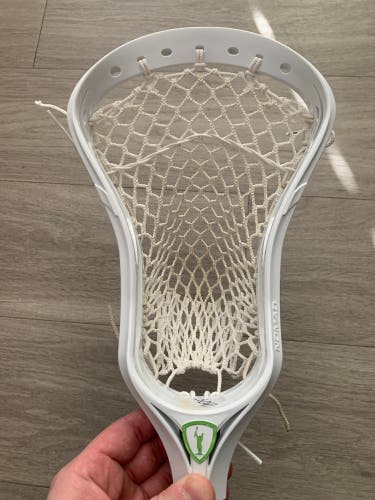 New  Strung Nomad Head