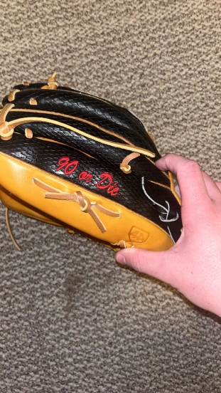 pro 44 baseball glove