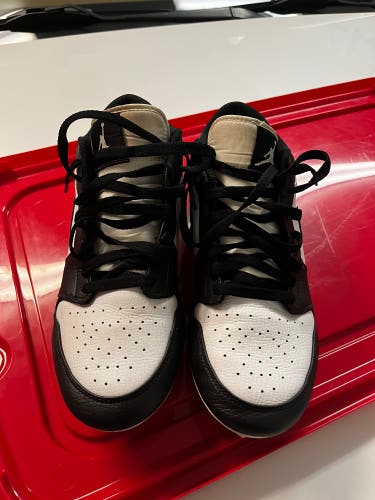 Nike panda Dunk Cleats